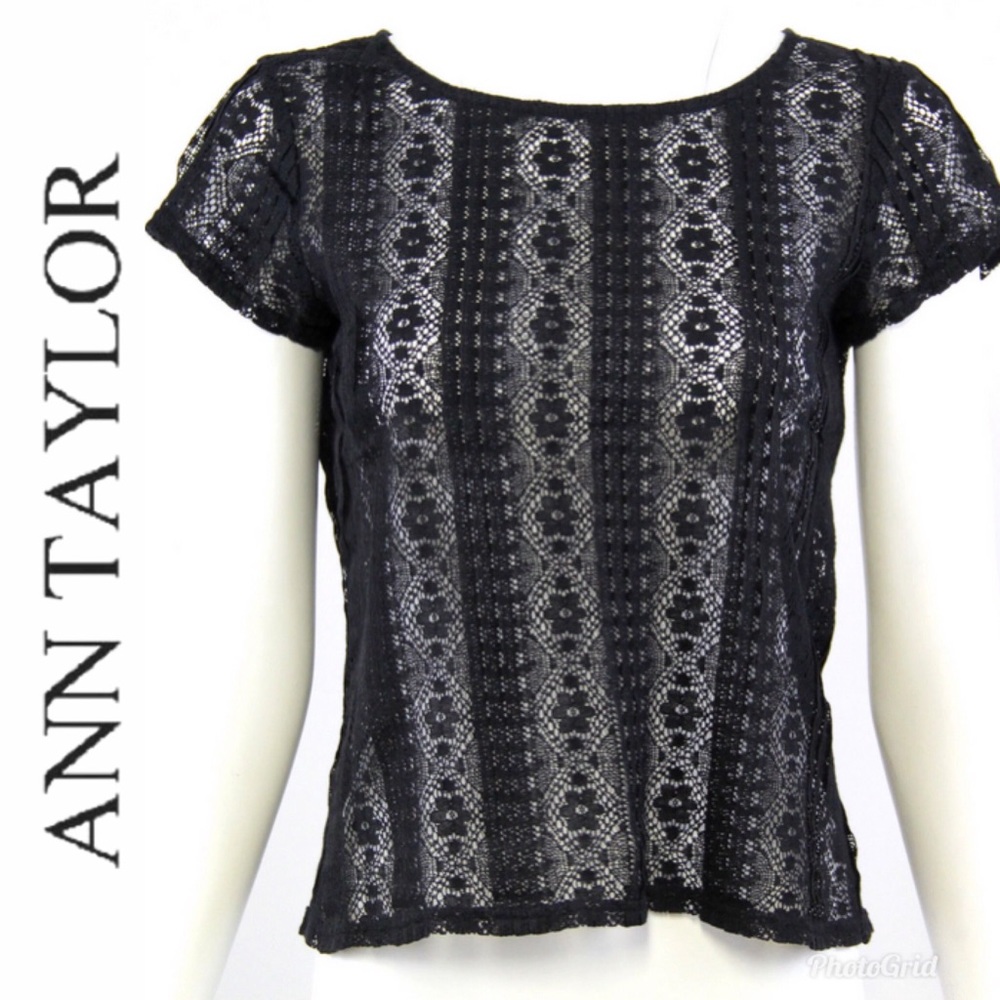 Ann Taylor Loft Petite Lace Stretch Blouse